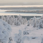Vue foret lacs finlande